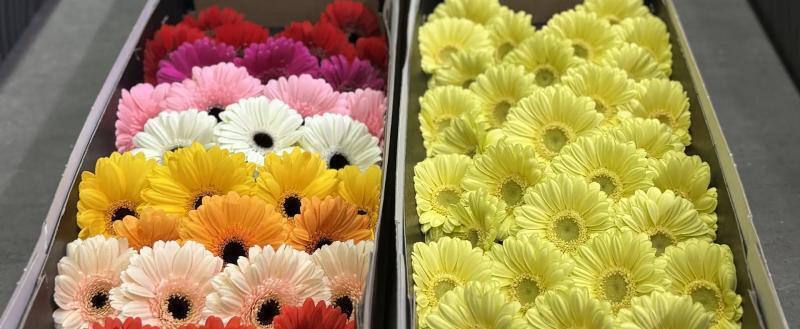 пресс-служба Уральского таможенного управления