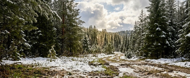 Сгенерировано с помощью ИИ