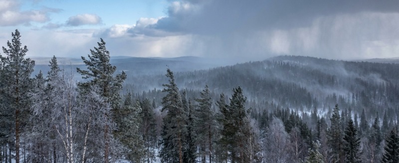 Сгенерировано с помощью ИИ