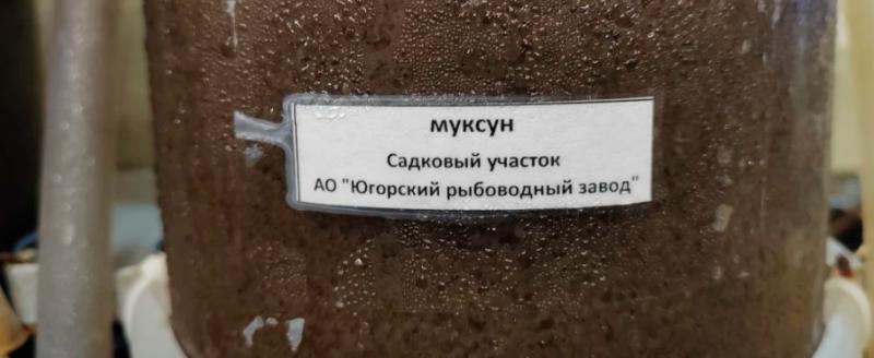 Природнадзор Югры/vk.com/prirodnadzor