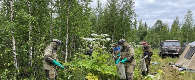 Сгенерировано с помощью ИИ