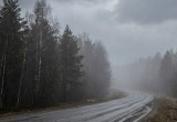 Погода в Югре на 25 апреля: облачно, дожди и туманы