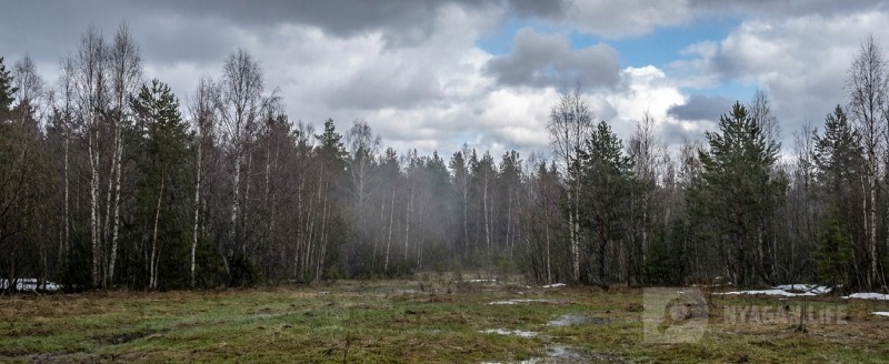 Сгенерировано с помощью ИИ