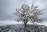 Сгенерировано с помощью ИИ