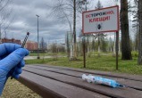 Сгенерировано с помощью ИИ