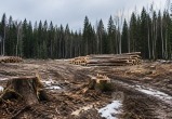 Сгенерировано с помощью ИИ