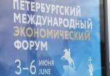 Делегация Югры во главе с Губернатором Русланом Кухаруком принимает участие в XXIX ПМЭФ