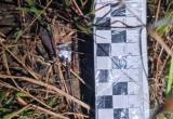 В Советском районе полицейские задержали наркосбытчика