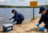 Сгенерировано с помощью ИИ