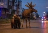 Сгенерировано с помощью ИИ