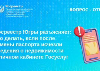 Что делать, если после замены паспорта исчезли сведения о недвижимости в личном кабинете Госуслуг