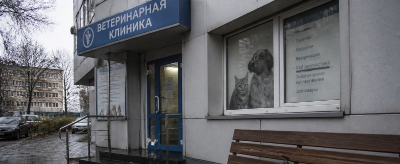 Сгенерировано с помощью ИИ