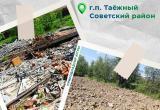 В Таежном Советского района ликвидированы две свалки