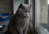 Сгенерировано с помощью ИИ