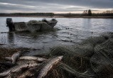 Сгенерировано с помощью ИИ