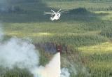 ФОТО: БУ &laquo;База авиационной и наземной охраны лесов&raquo;/https://vk.ru/aviales086