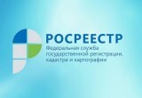 Мобильное приложение &laquo;Инспектор&raquo;: удобный сервис для граждан
