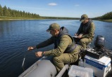 Сгенерировано с помощью ИИ