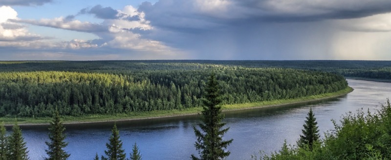 Сгенерировано с помощью ИИ