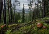 Сгенерировано с помощью ИИ