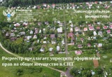 Росреестр предлагает упростить оформление прав на общее имущество в СНТ: законопроект направлен в Правительство РФ