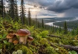 Сгенерировано с помощью ИИ