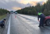 Госавтоинспекция Свердловской области/https://vk.ru/gibdd_66