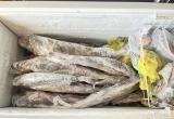 пресс-служба УМВД по ХМАО-Югре