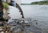 Сгенерировано с помощью ИИ