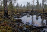 Сгенерировано с помощью ИИ