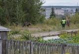 Сгенерировано с помощью ИИ