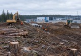 Сгенерировано с помощью ИИ