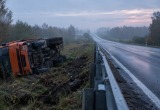 Сгенерировано с помощью ИИ