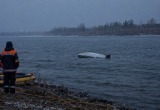 Сгенерировано с помощью ИИ