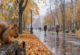 Сгенерировано с помощью ИИ