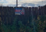 В Нягани демонтируют незаконную наружную рекламу. ФОТО