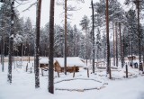 В Нягани 26 декабря откроют  "Центральный лес культуры и отдыха". ФОТО