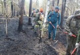В МЧС рассказали, как тушат пожар в лесах Нягани. ФОТО