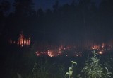 В няганском лесу работы по тушению пожара ведутся в круглосуточном режиме. ФОТО