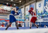 В Нягани проходят окружные соревнования по боксу. ФОТО