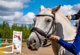 В Нягани на территории центра «Патриот» прошли соревнования по конному спорту. ФОТО