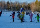 Нягань приняла участие во Всероссийской лыжной гонке - «Лыжня России 2025». ФОТО