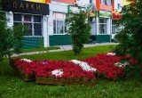 В Нягани специалисты произвели пробную посадку тюльпанов на городской клумбе