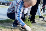 Активисты &laquo;Единой России&raquo; в Нягани высадили 70 кустарников и провели субботники на 20 участках