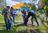 Активисты &laquo;Единой России&raquo; в Нягани высадили 70 кустарников и провели субботники на 20 участках