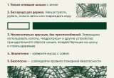 С 25 августа в Югре официально стартует сезон заготовки кедровых шишек